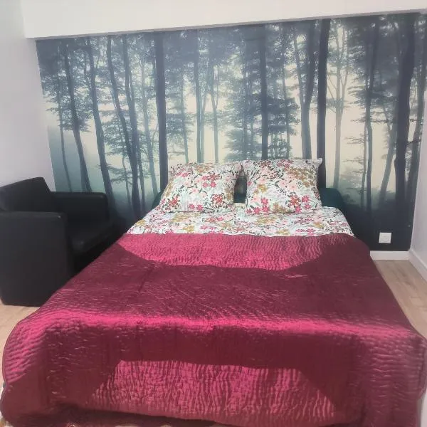 Appartement Jelyad Terres Fortes 1 à 10 minutes de Disney，位于尚特洛普恩布里的酒店