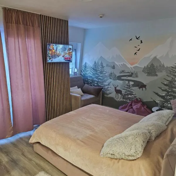 Snowman Studio Apartment Jahorina，位于亚霍里纳的酒店