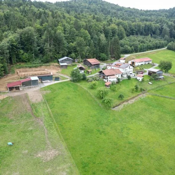 Ranzinger Hof，位于瓦尔德基兴的酒店