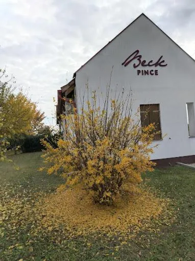 Beck Pince，位于Hajós的酒店