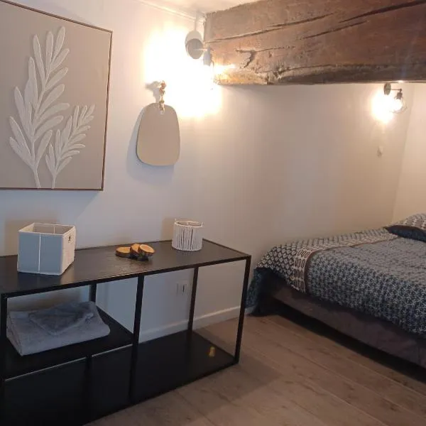 Charmant Studio et Mezzanine de 38 m2，位于沙托丹的酒店