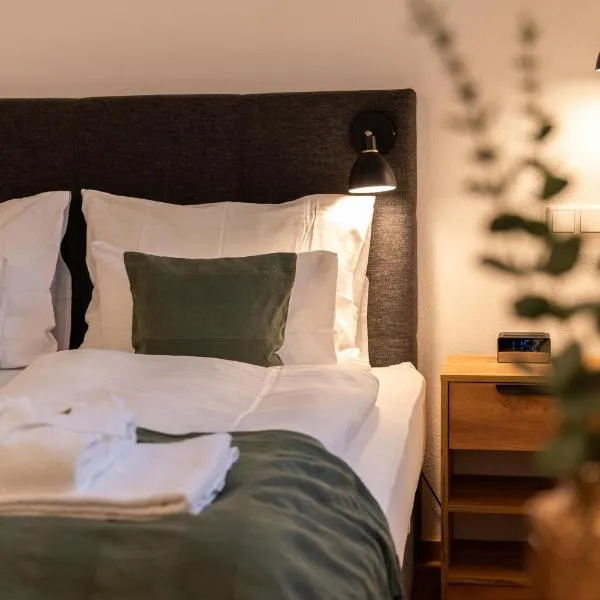 dreamcation Altstadthotel Regensburg, Mikro Apartments mit Küche，位于雷根斯堡的酒店