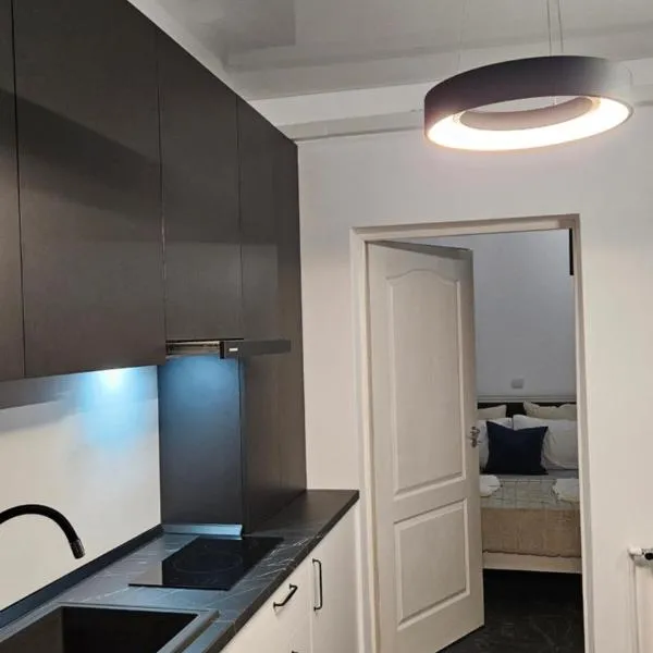 Studio Chic, Rezerva acum! Central, cafea, ceai, apa, parcare publica gratuita, baie cu cabina si cada，位于克拉约瓦的酒店