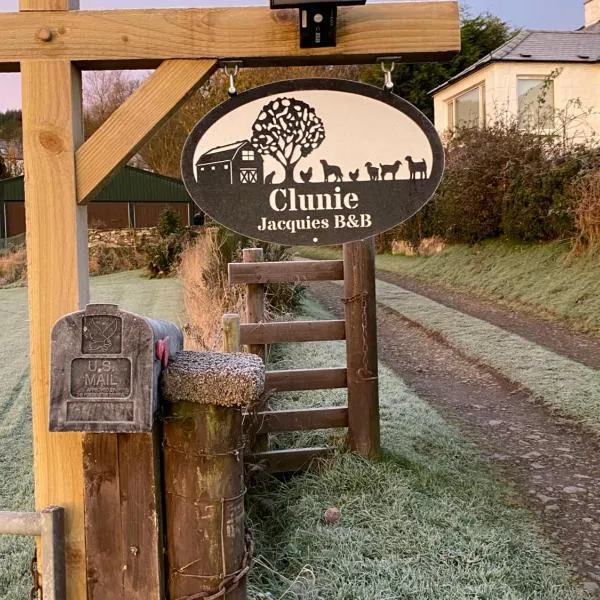 Jacquie's B&B -Dumfries-Room with a view，位于邓弗里斯的酒店