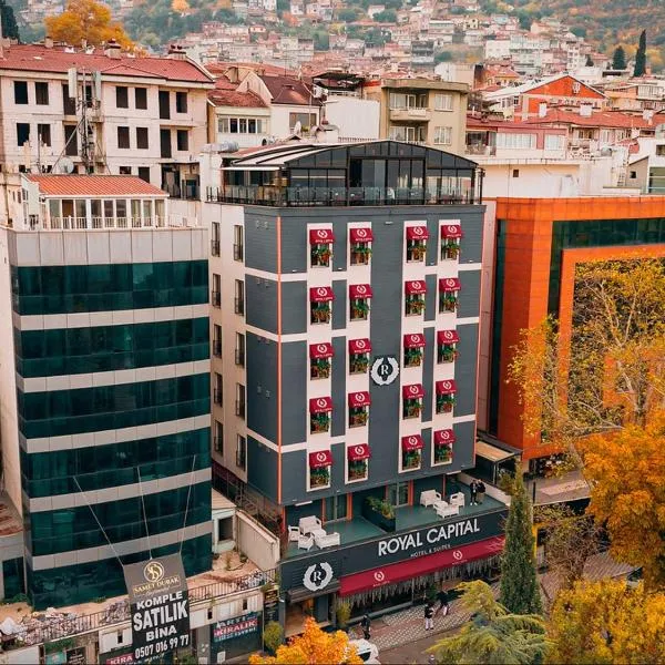 Royal Capital Thermal & Spa Hotel，位于伯萨的酒店