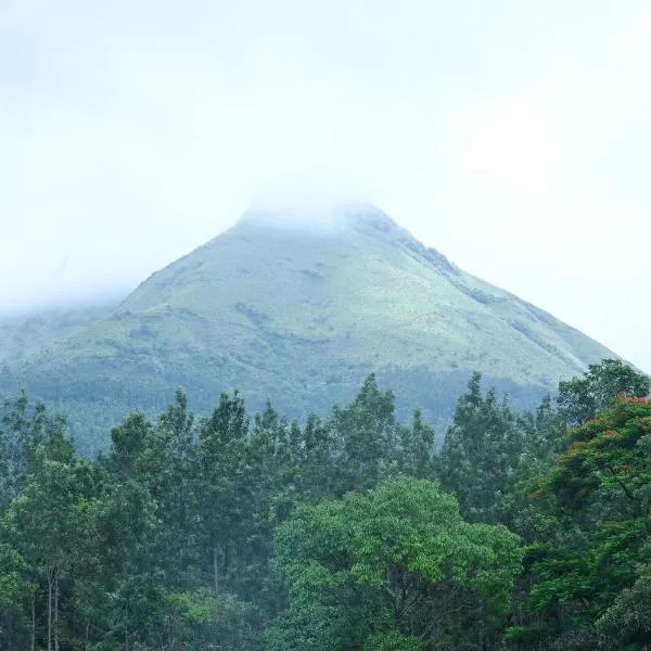 Hill Shadow - Mountain view and Swimming Pool，位于奇克马格尔的酒店