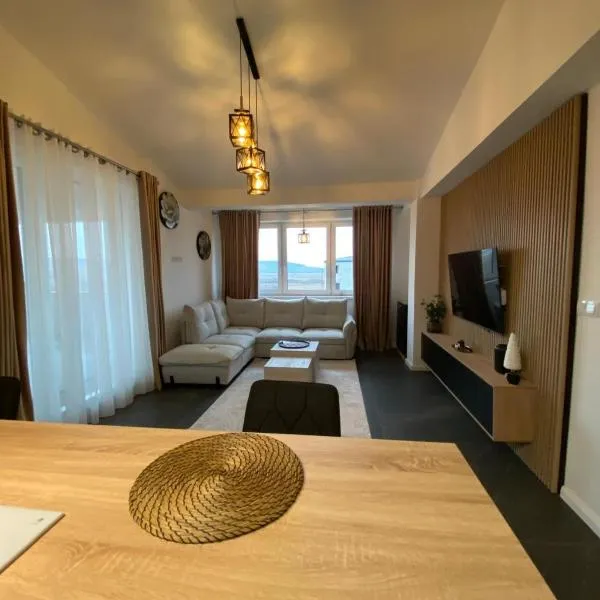 Penthouse San Casa Sebeș，位于赛比什的酒店