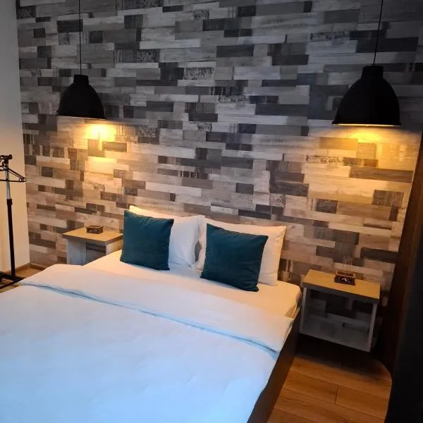 New Grey Apartament，位于雷京的酒店