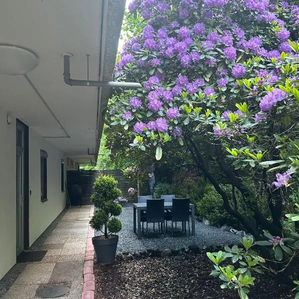 Fewo Das Spatzennest，位于巴特哈尔茨堡的酒店