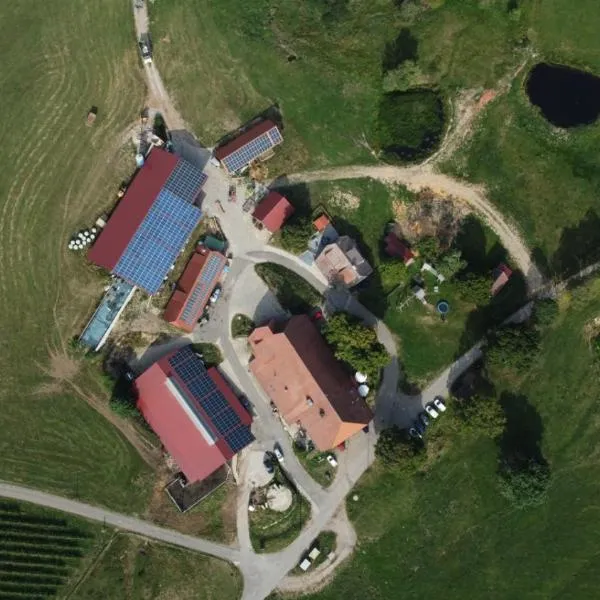 Plattenhof，位于圣彼得的酒店