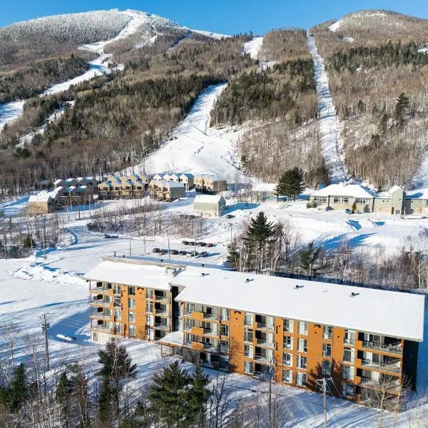 Les Appartements du Massif de Charlevoix，位于圣弗朗索瓦小河的酒店