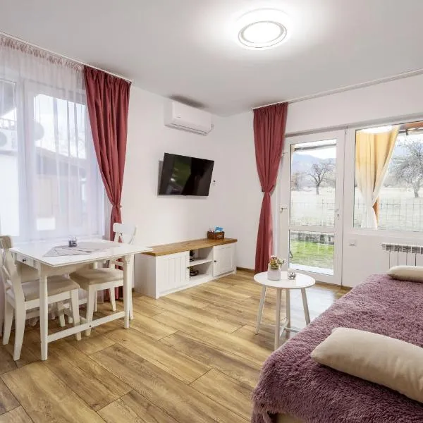 Villa Nikol Apartment #1，位于Raduil的酒店