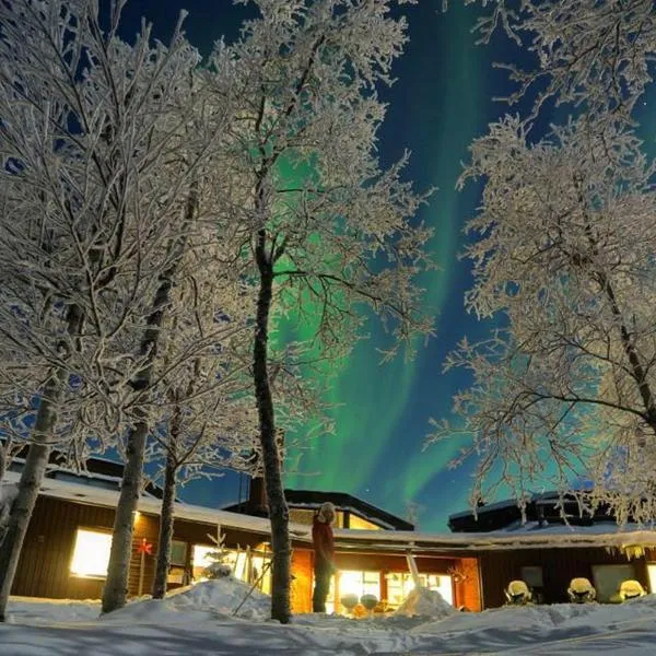 玛塔拉卡北极光旅舍，位于Luossavaara的酒店