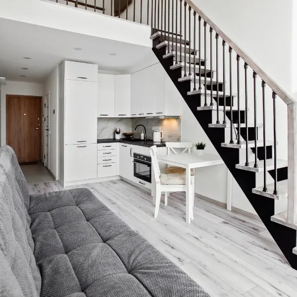 Edvin Loft x Free parking，位于维尔纽斯的酒店