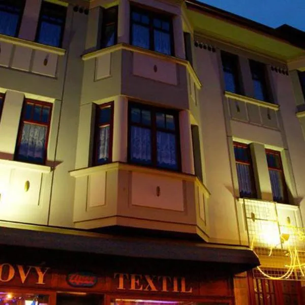 阿派克斯旅馆，位于Pocinovice的酒店