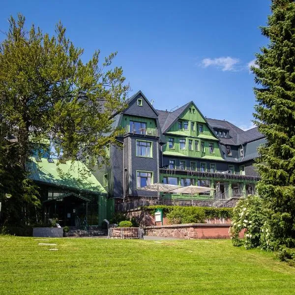BERG & SPA HOTEL GABELBACH，位于伊尔梅瑙的酒店