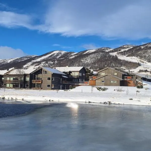 Sentral leilighet på Geilo，位于耶卢的酒店