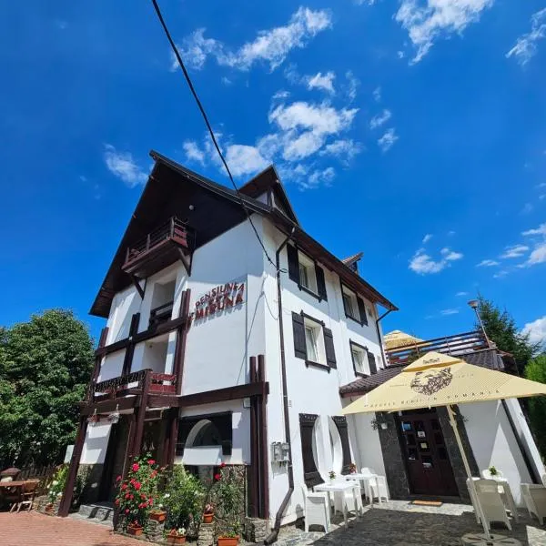 Pensiunea Miruna，位于莫伊西德约斯的酒店