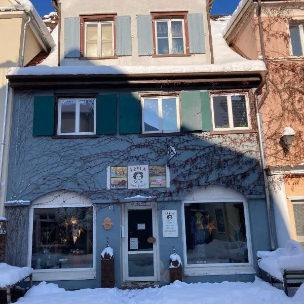 Zentrale reizende Wohnung für 3 Personen，位于阿尔戈伊地区洛伊特基希的酒店