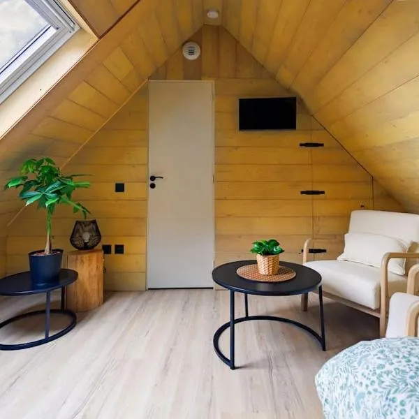 Le petit chalet du centre-ville，位于斯特拉斯堡的酒店