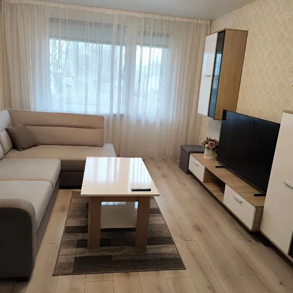 Monica Apartments，位于帕内韦日斯的酒店