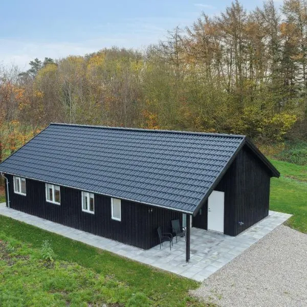 Sommerhus i Arrild Ferieby nær Vesterhavet，位于阿里尔的酒店
