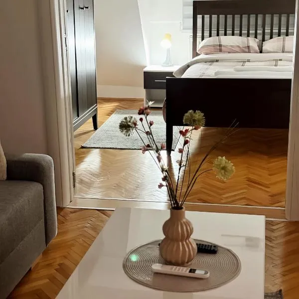 Dekster apartmani，位于瓦列沃的酒店