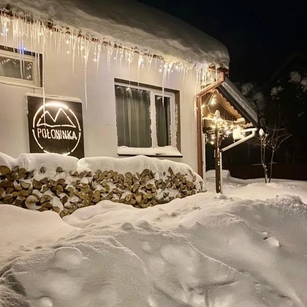 Połoninka Pokoje，位于奥斯特基基格恩的酒店