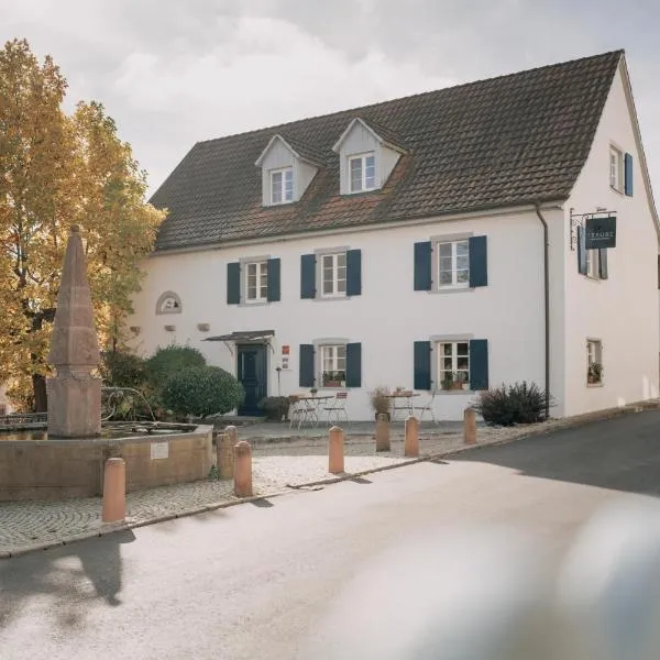 Traube Blansingen，位于埃夫林根基兴的酒店