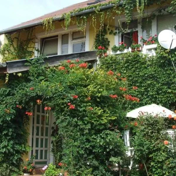 Vadszőlő Vendégház，位于Cák的酒店