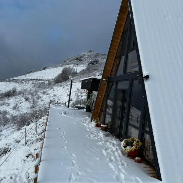 Dream view of Apuseni，位于里梅泰亚的酒店