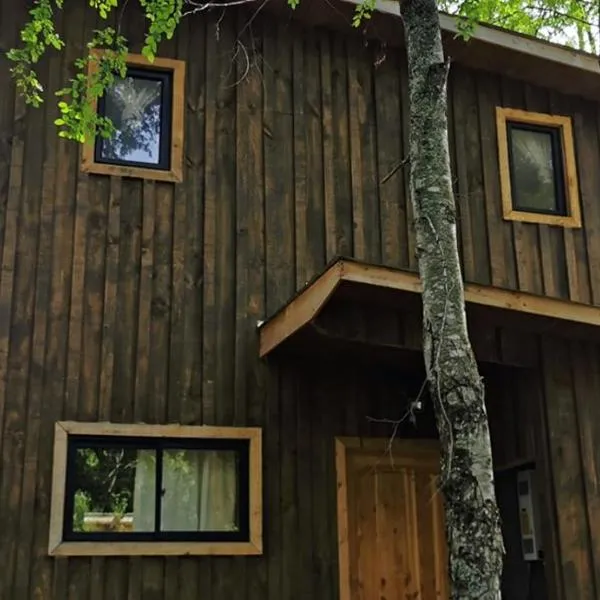 Cabañas y Casas Hualles，位于柯纳里佩的酒店