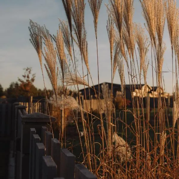 Seaside Apartments Roja，位于罗亚的酒店