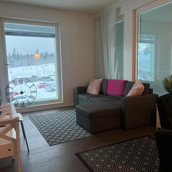 Stylish spacious apartment in Tuusula，位于Hyrylä的酒店