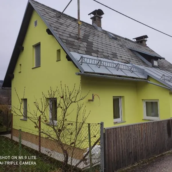 Nice small house in beautiful Carinthia，位于沃尔特湖畔佩莎赫的酒店