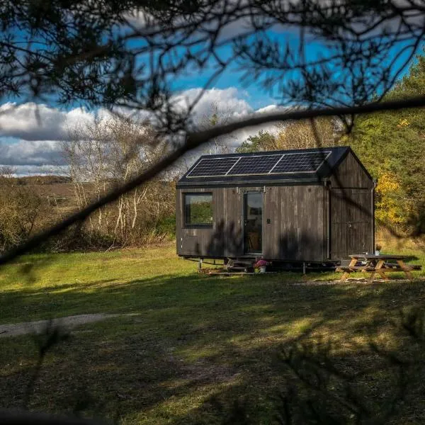 L'Envolée Ecolodge, tiny house au coeur des vignes，位于Loches-sur-Ource的酒店