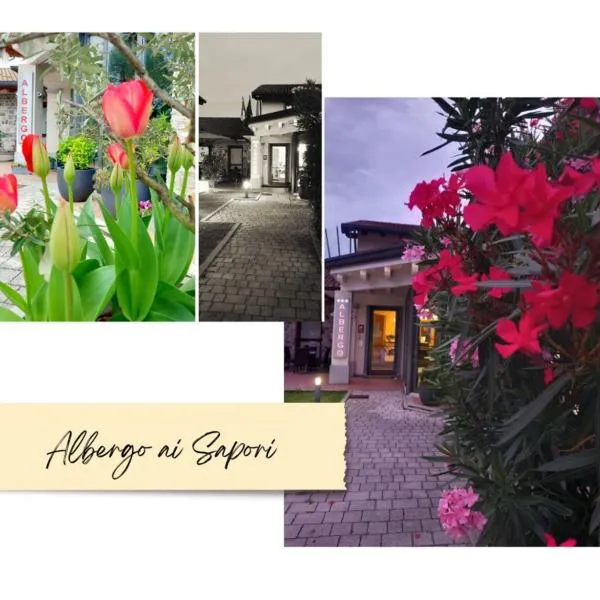 Albergo ai Sapori，位于弗留利地区圣达尼埃莱的酒店