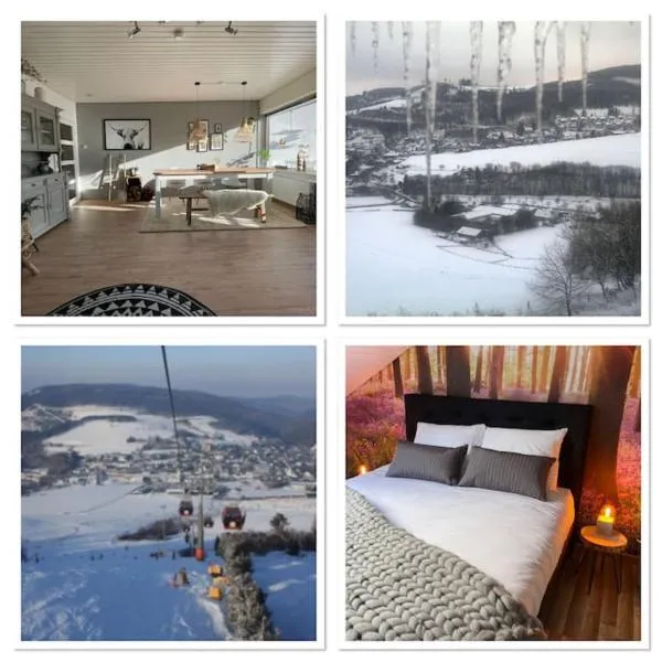 Sauerland Lodge Willingen，位于维林根的酒店