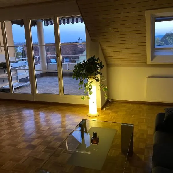 1 Zimmer, Wohnzimmer mit Kamin, Küche voll ausgestattet, großer Balkon mit Ausblick，位于Schaffhausen的酒店