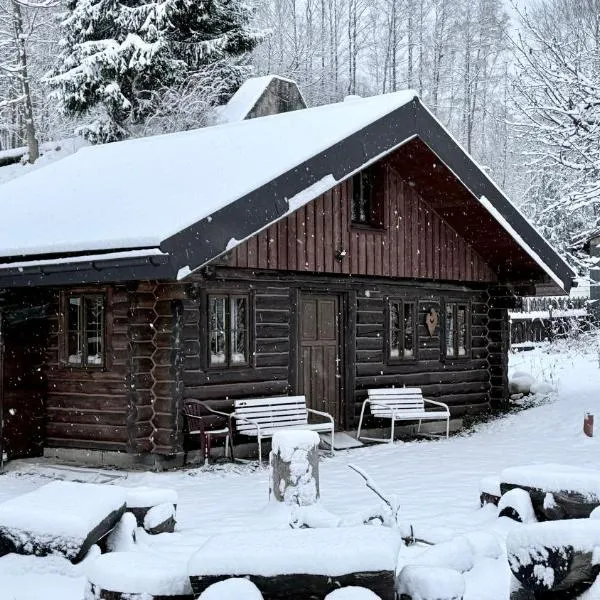 SRUB pod třešněmi - Cherry Trees Cabin，位于贝内茨科的酒店