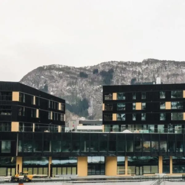 Toppleilighet på elvekanten med to romslige soverom，位于弗勒的酒店