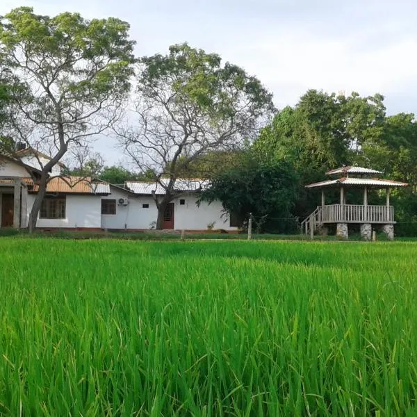 位帕图野生观景酒店，位于Pahala Maragahawewa的酒店