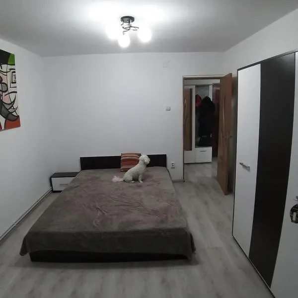 Apartament Ski Straja Lupeni，位于Lupeni的酒店