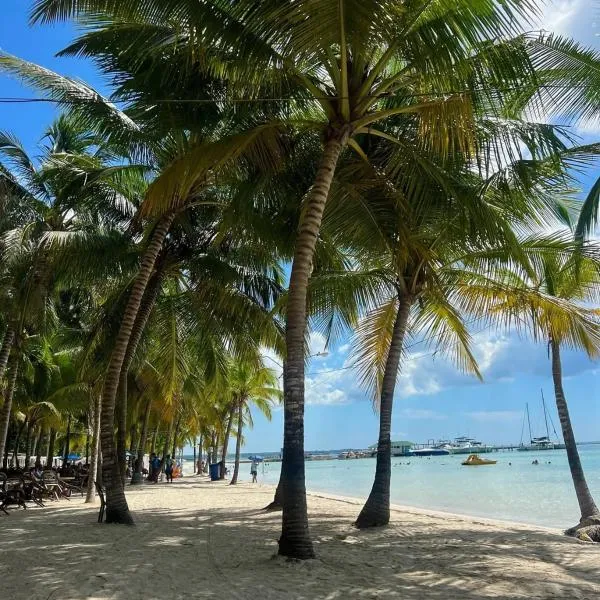 Hannabi Beach Hotel，位于博卡奇卡的酒店