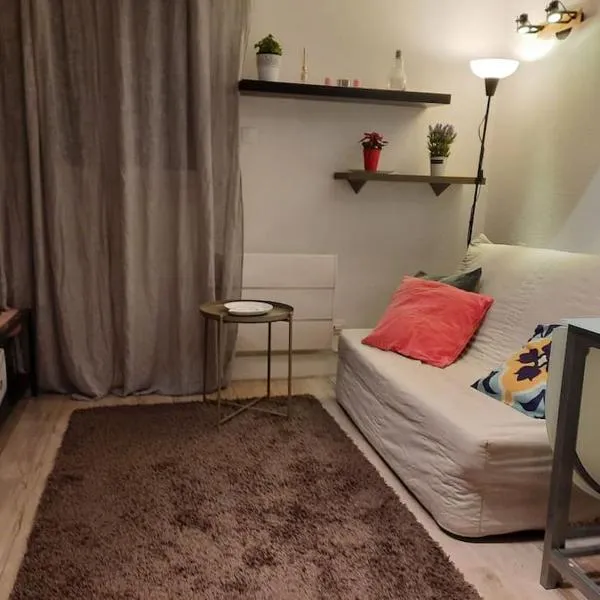 Charming Duplex near Disney，位于布西圣乔治的酒店