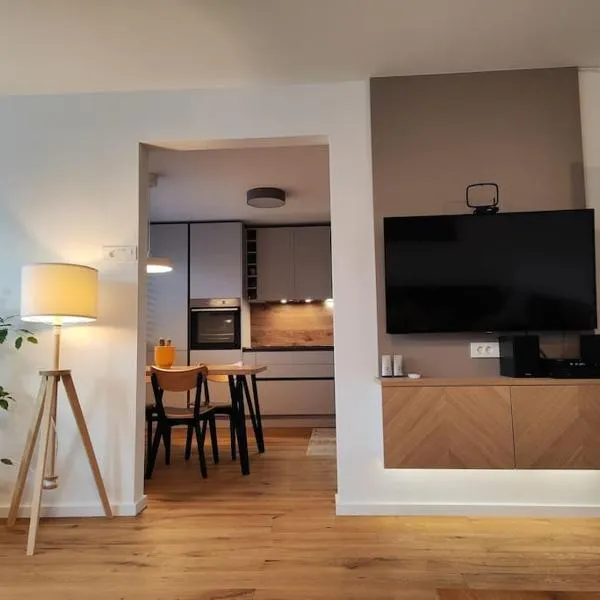 Modern apartment Konjice，位于斯洛文尼亚科尼采的酒店