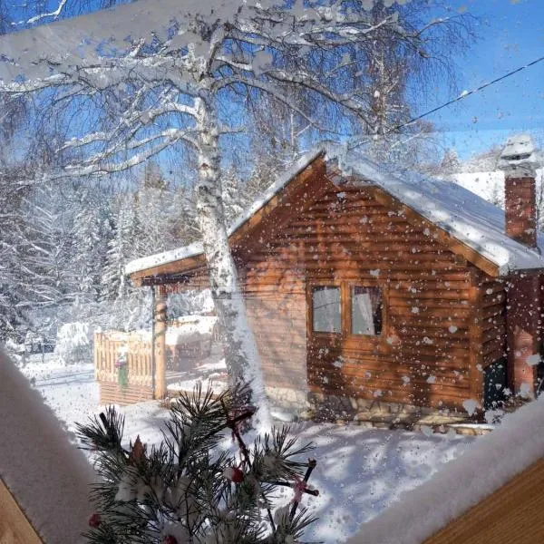 Planinska kuca Ella，位于Jelik的酒店