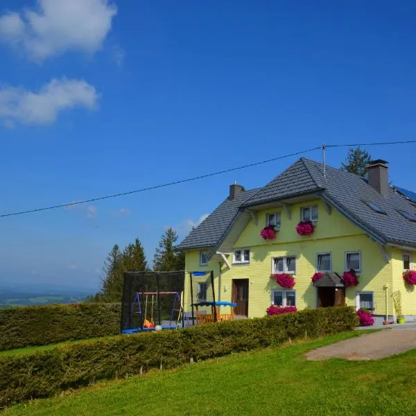Bäuerleshütte，位于布莱特瑙的酒店