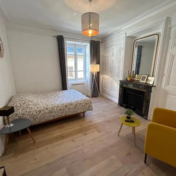 Studio Cosy Charme Ancien，位于Thizy-les-Bourgs的酒店
