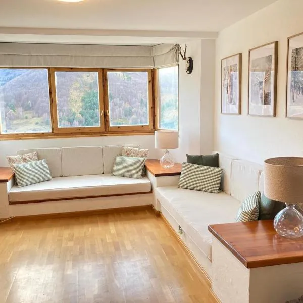 Apartamento en Formigal，位于福米加尔的酒店